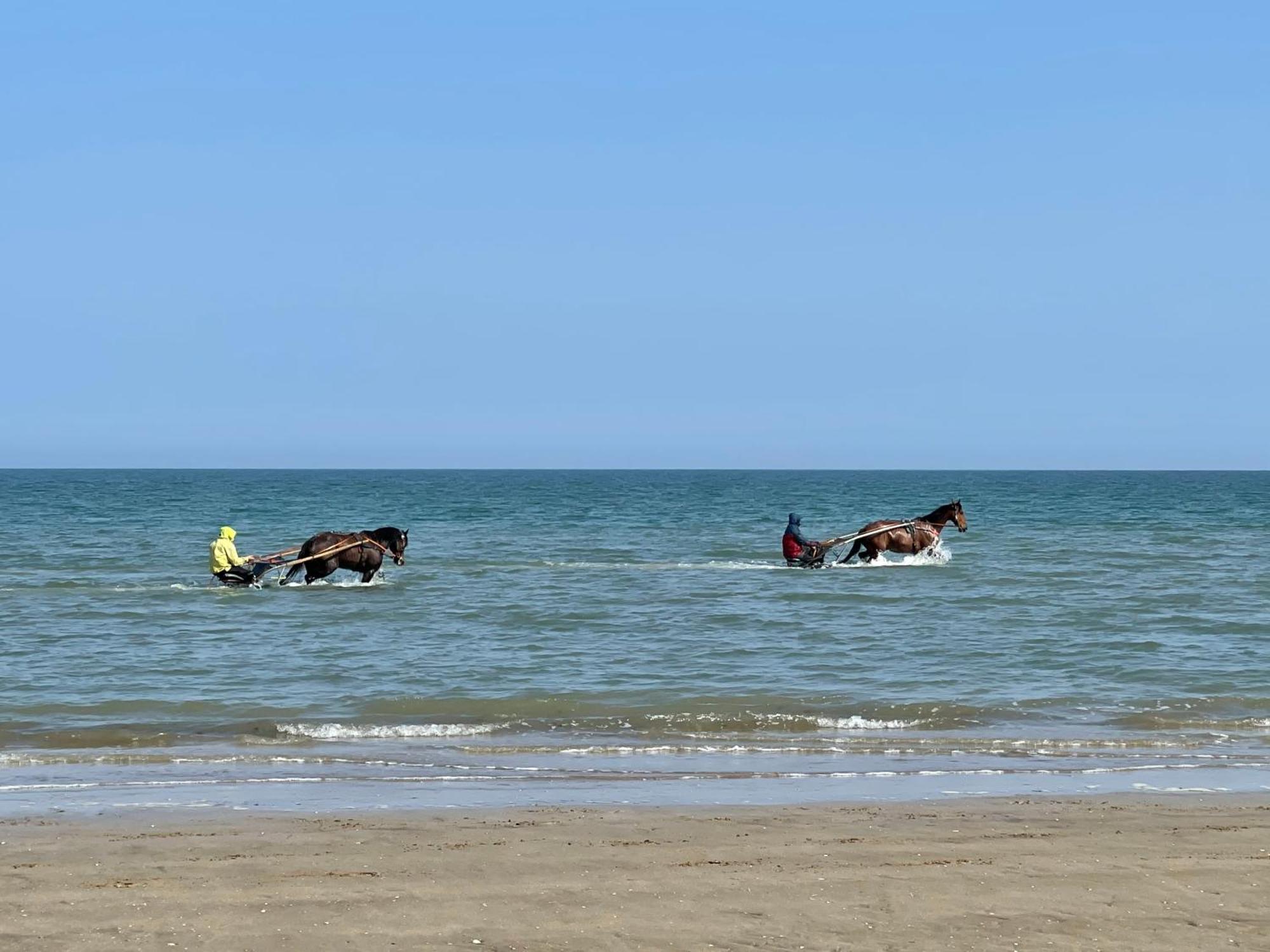 Pressoir De La Mare Superhote 12 Minutes De Cabourg Goustranville Ngoại thất bức ảnh